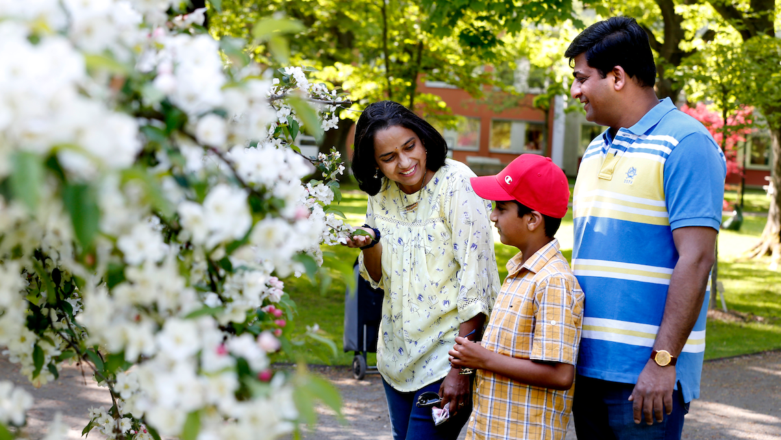 Pappa, mamma och barn kollar på blommor i en park