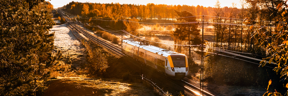 Bild på tåg i ett höstlandskap i soluppgången