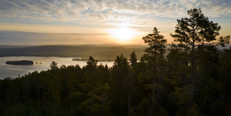 Bild på vatten och skog i solnedgång.