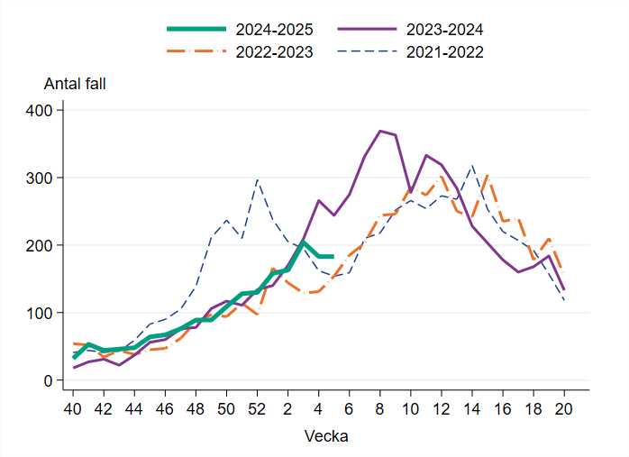 Antal laboratoriebekräftade fall av calicivirus (noro- och sapovirus) säsong 2021-2022, 2022-2023, 2023-2024 och 2024-2025.