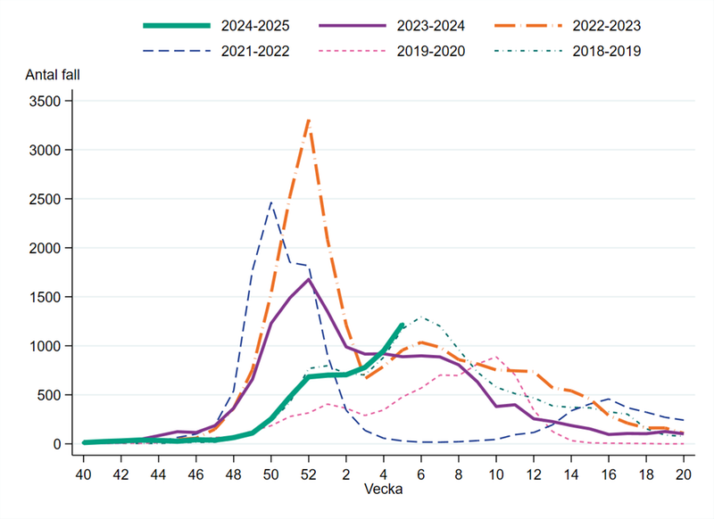 Antal laboratorieverifierade influensafall (alla typer) per vecka, denna säsong och tidigare säsonger i Sverige (Folkhälsomyndigheten)