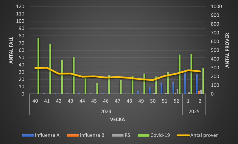 Luftvägsvirus 2022-2023