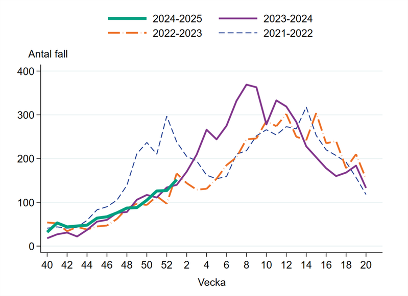 Antal laboratoriebekräftade fall av calicivirus (noro- och sapovirus) säsong 2021-2022, 2022-2023, 2023-2024 och 2024-2025.